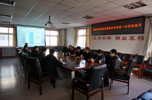 刘董事长一行与色情av影片
领导会谈